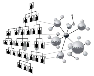 Иерархическая и сетевая структуры управления комбинированные в одну ДжКоттер