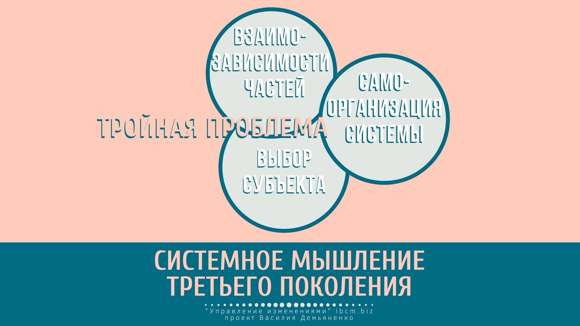 Принципы системного мышления третьего поколения (Д. Гараедаги) — Управление  изменениями (change management), управленческий консалтинг